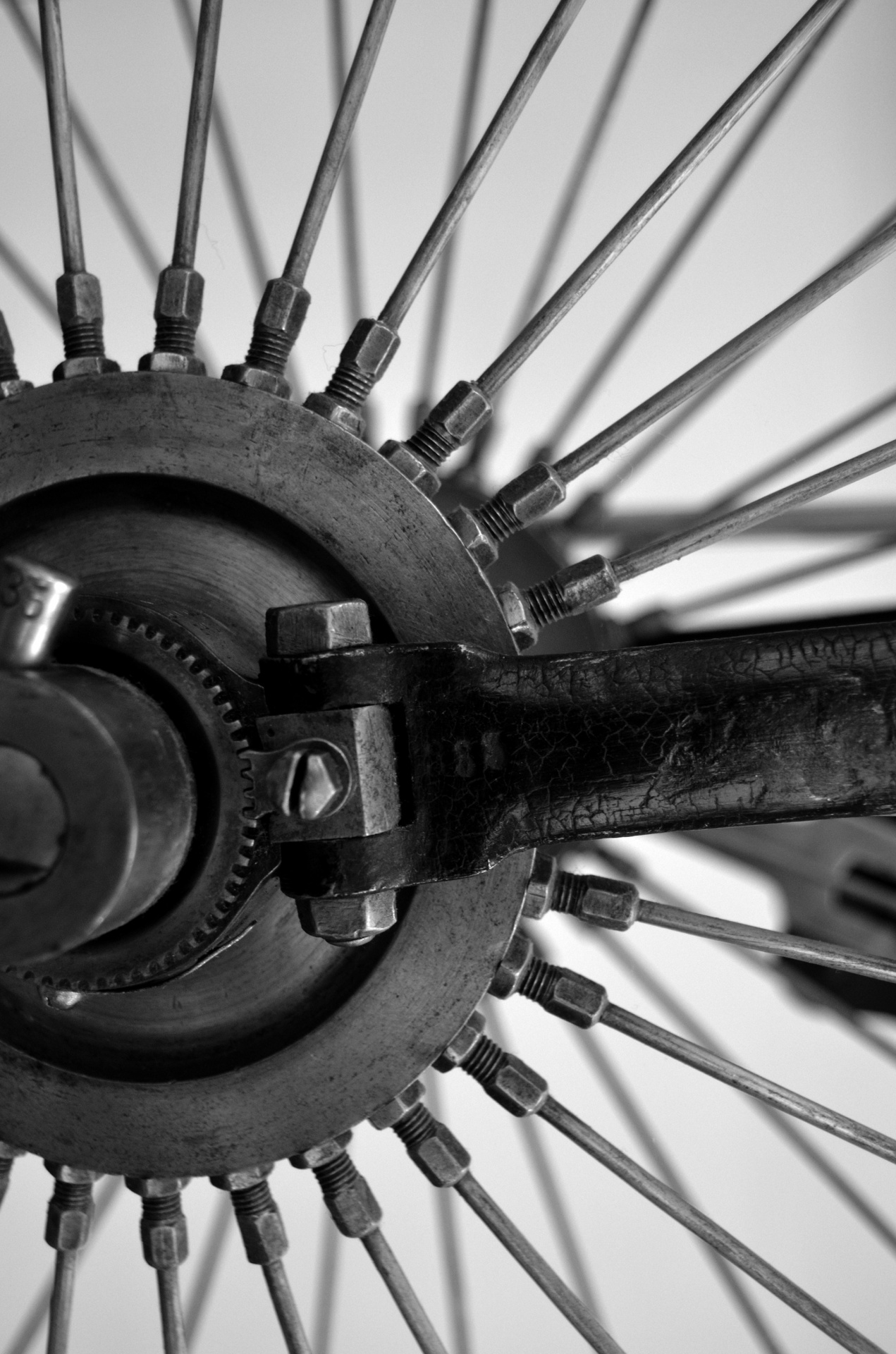 wheel bicycle wire free photo