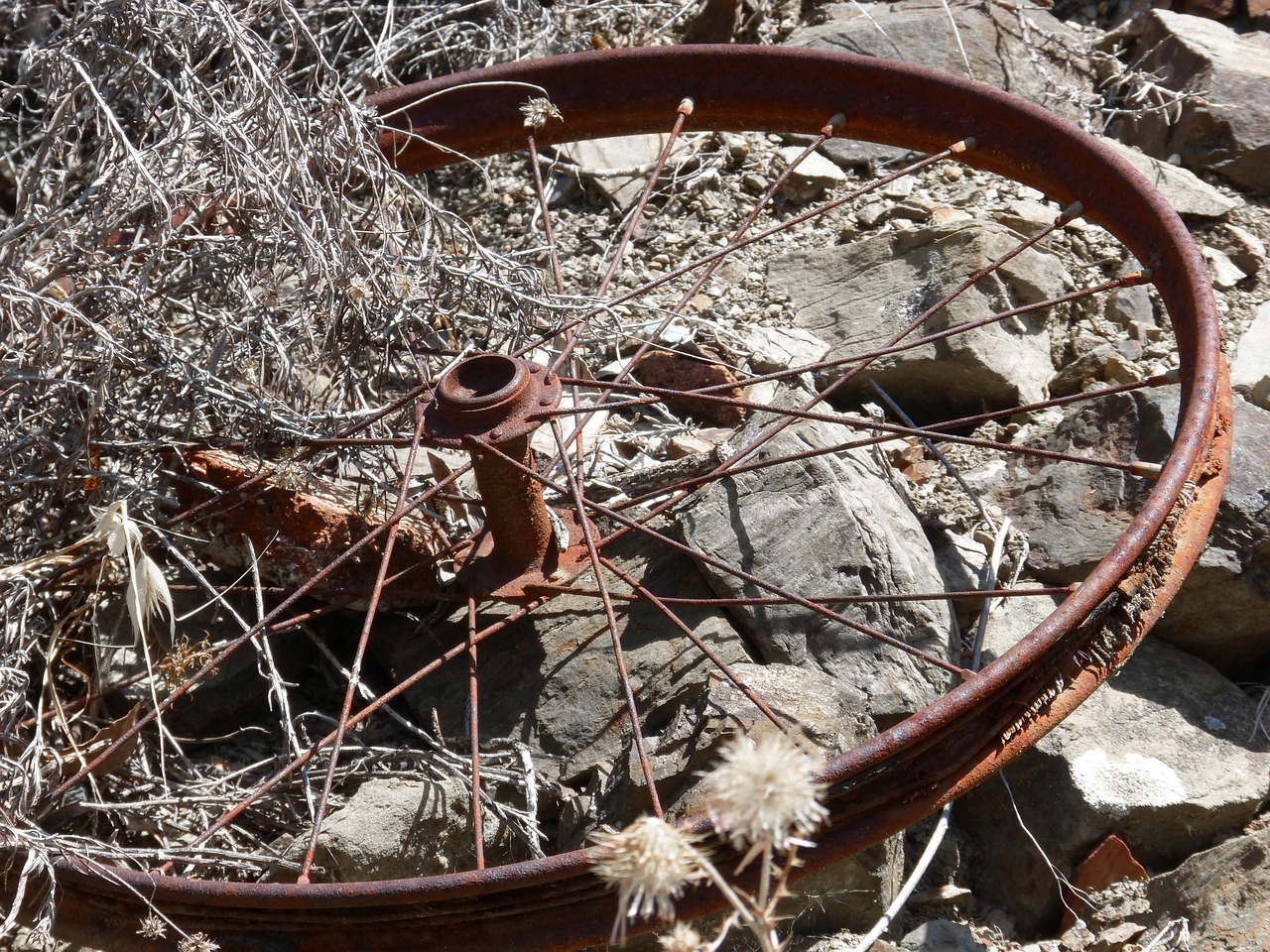bicycle wheel radios rusty free photo