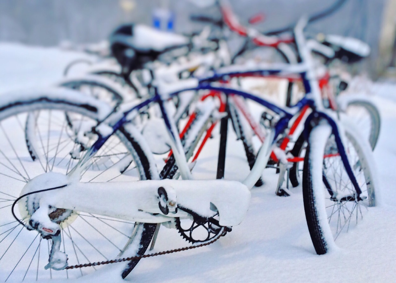 bicycles winter snow free photo