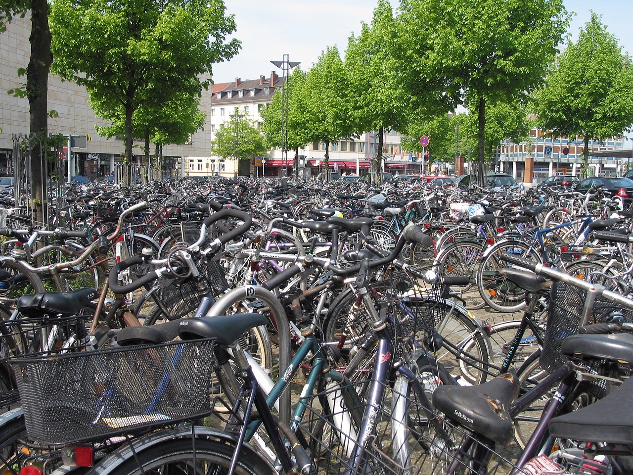 bicycles parking fray free photo