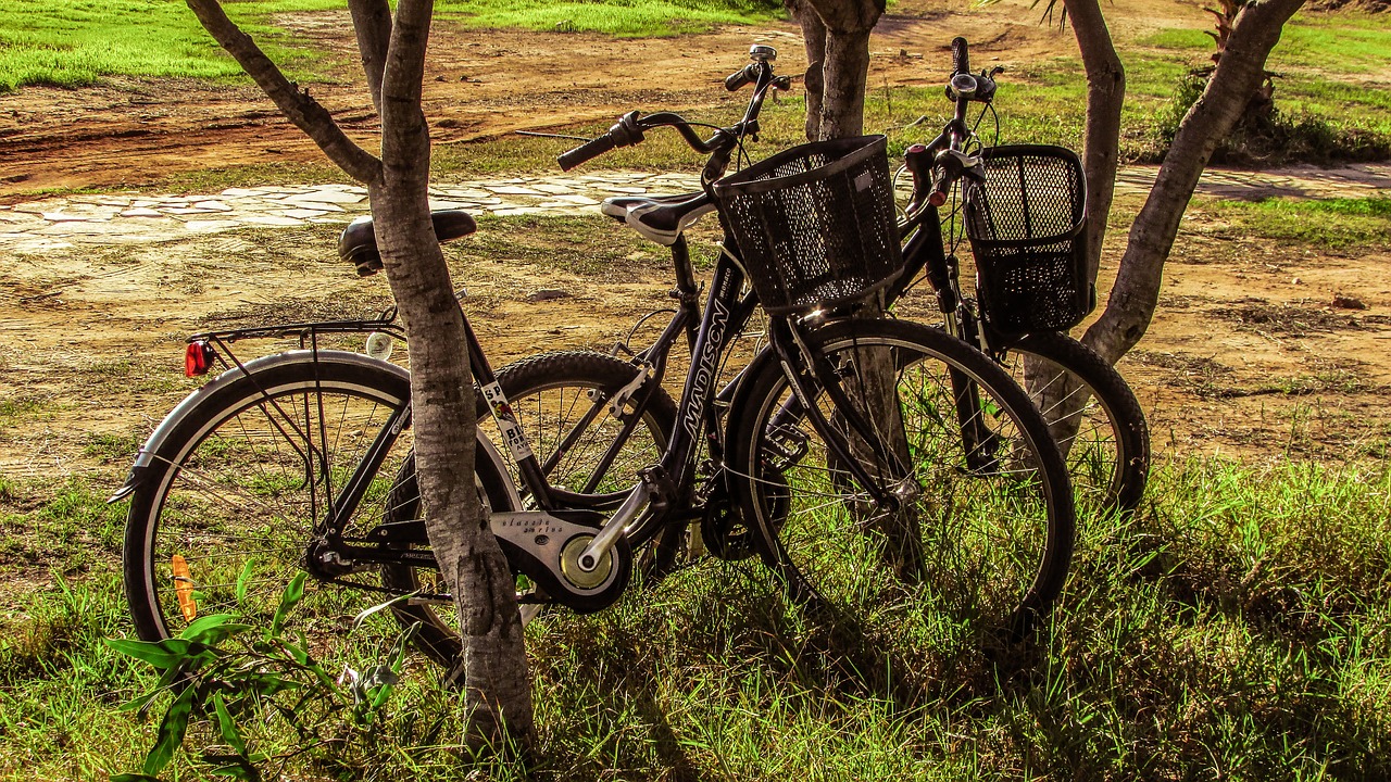 bicycles nature fall free photo