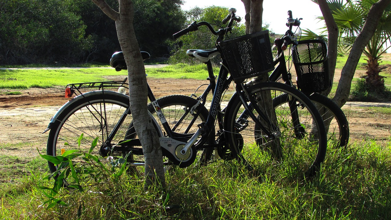 bicycles nature fall free photo