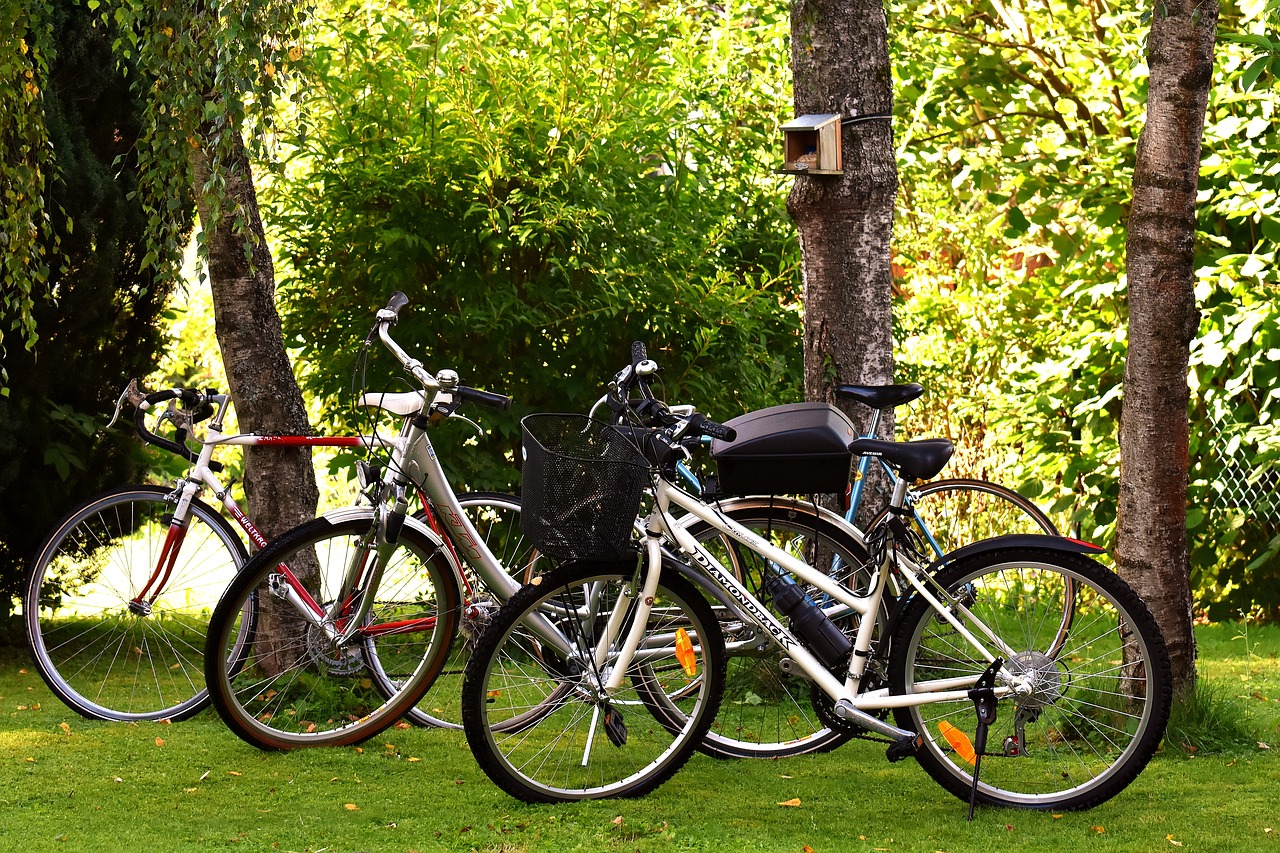 bicycles cycle bike free photo