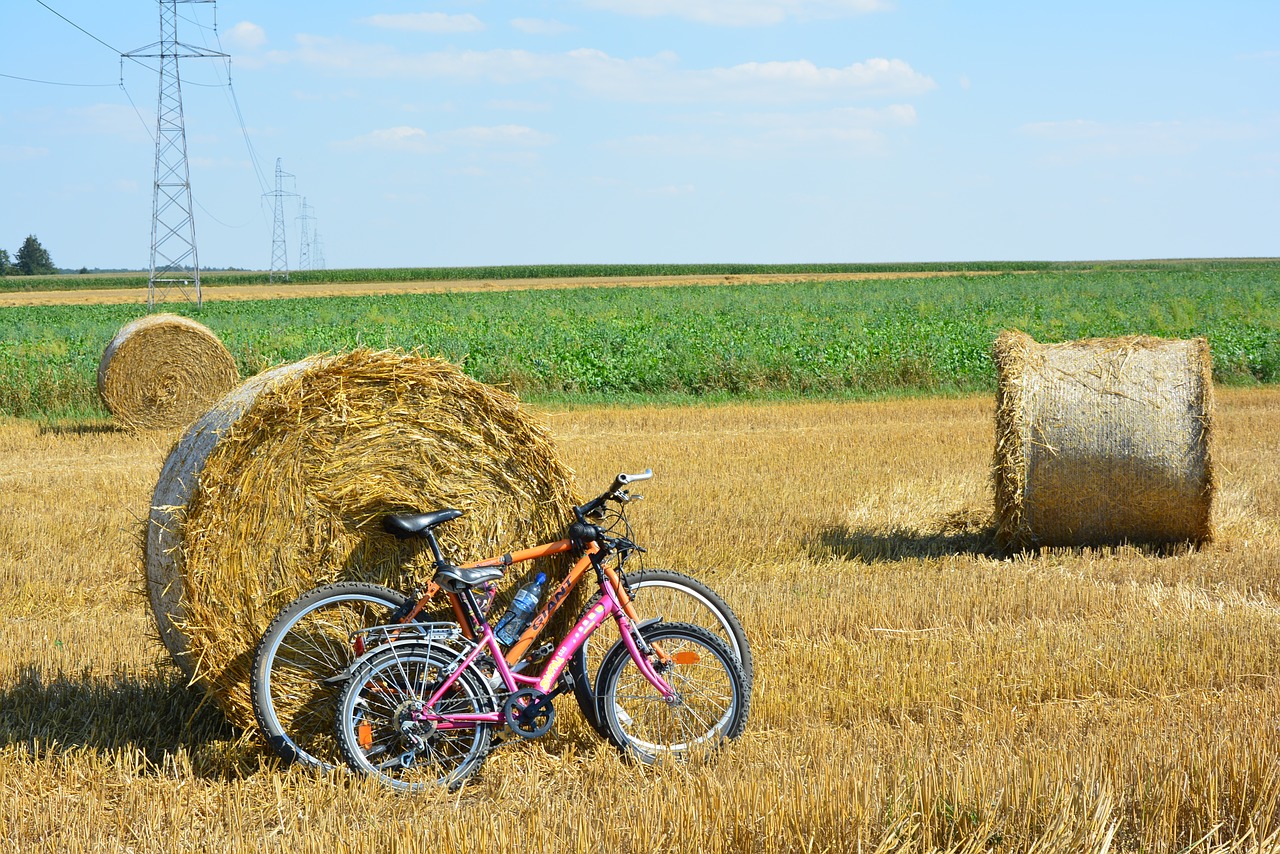 bicycles by bike harvest free photo