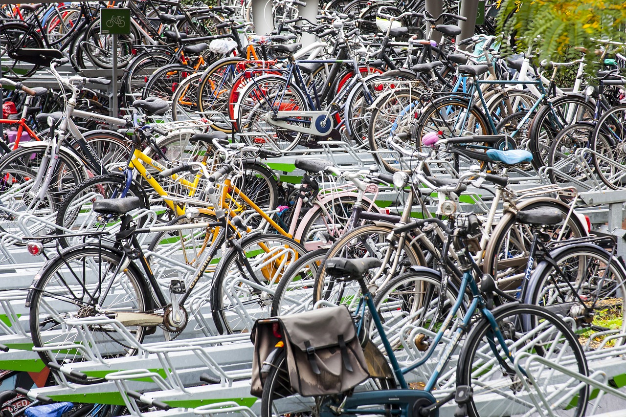 bicycles bike station bikes free photo