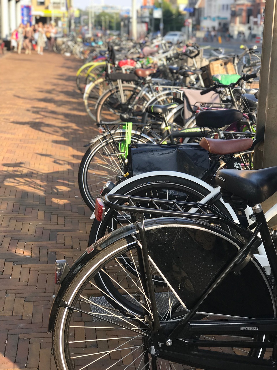 bicycles  holland  scheveningen free photo