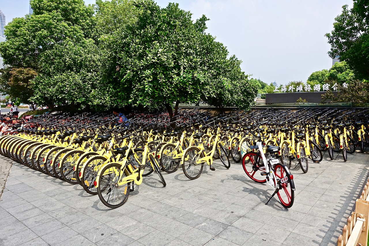 bicycles  rental  yellow free photo