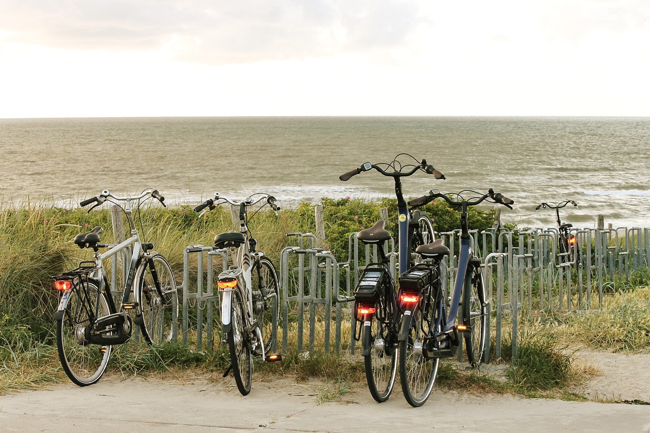 bicycles  sea  dunes free photo