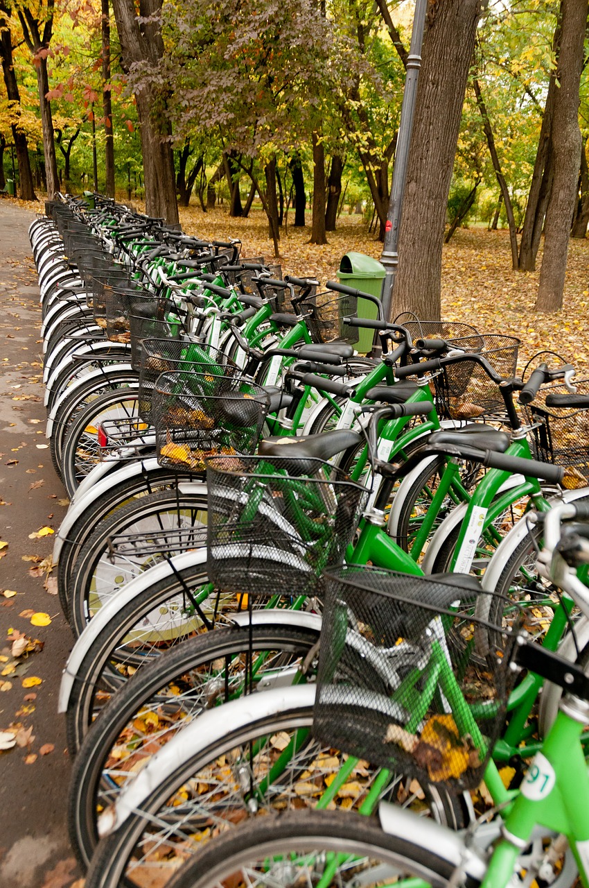 bicycles rental cycling free photo