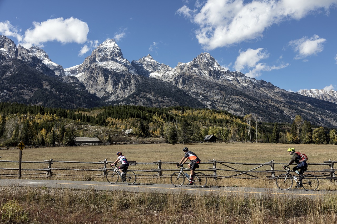 bicycling  riding  bike riding free photo