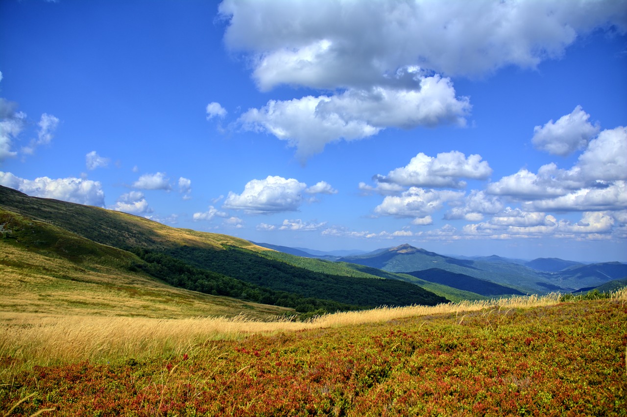 bieszczady mountains the silence free photo