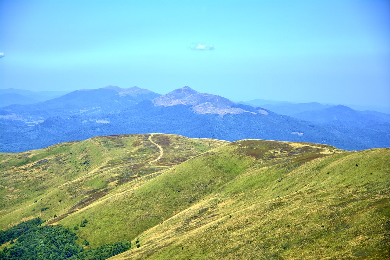 bieszczady tarnica beech berdo free photo