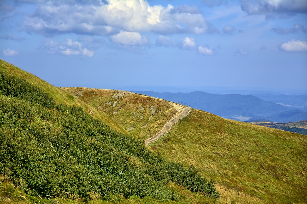 bieszczady tarnica beech berdo free photo