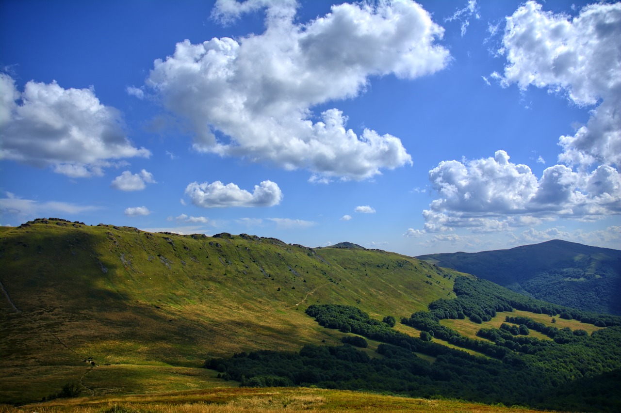 bieszczady tarnica beech berdo free photo