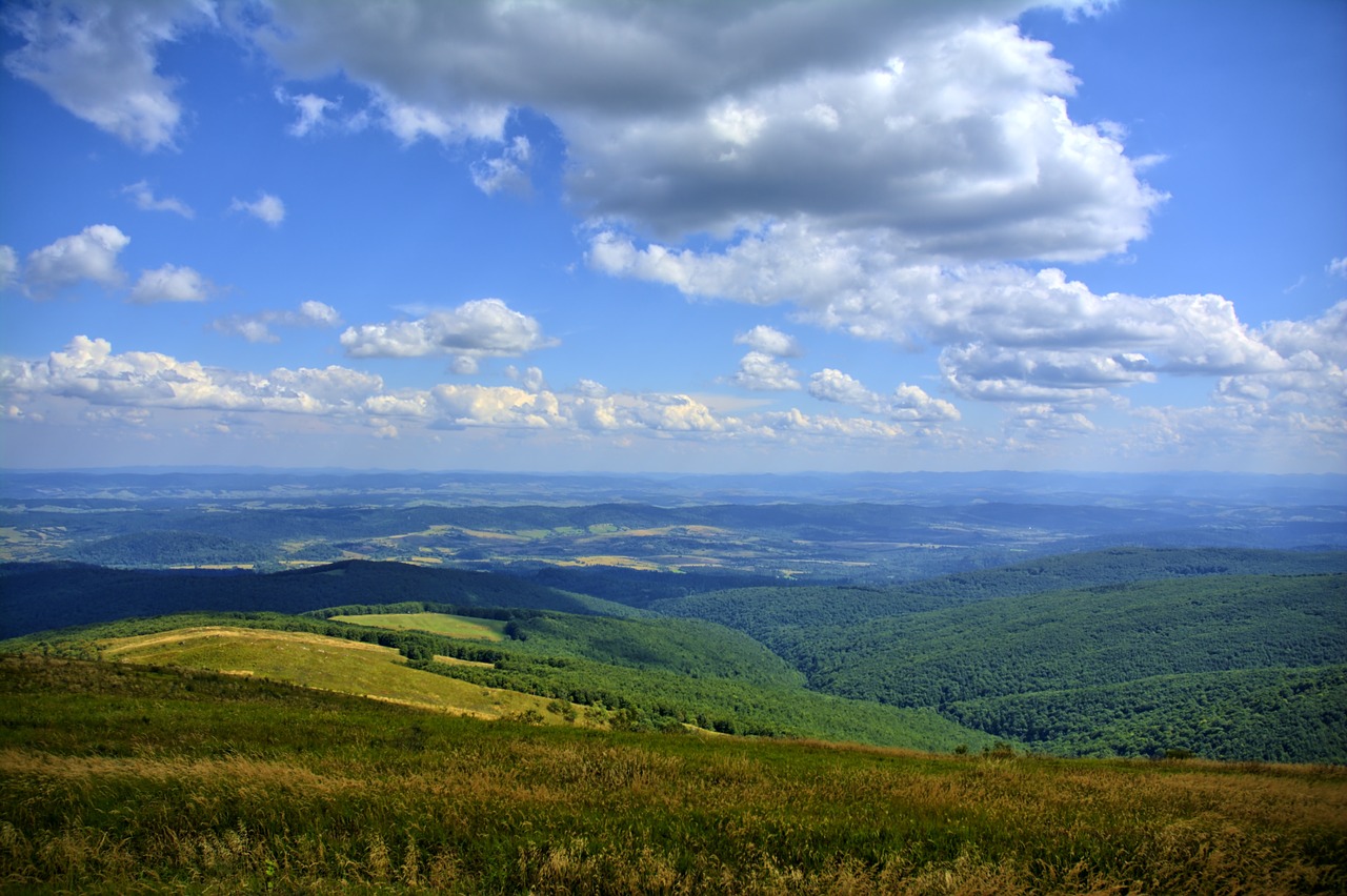 bieszczady tarnica beech berdo free photo