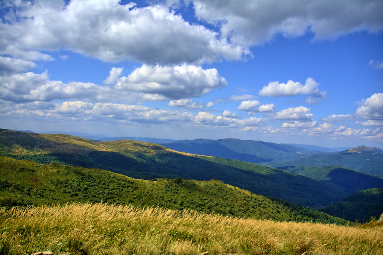 bieszczady tarnica beech berdo free photo