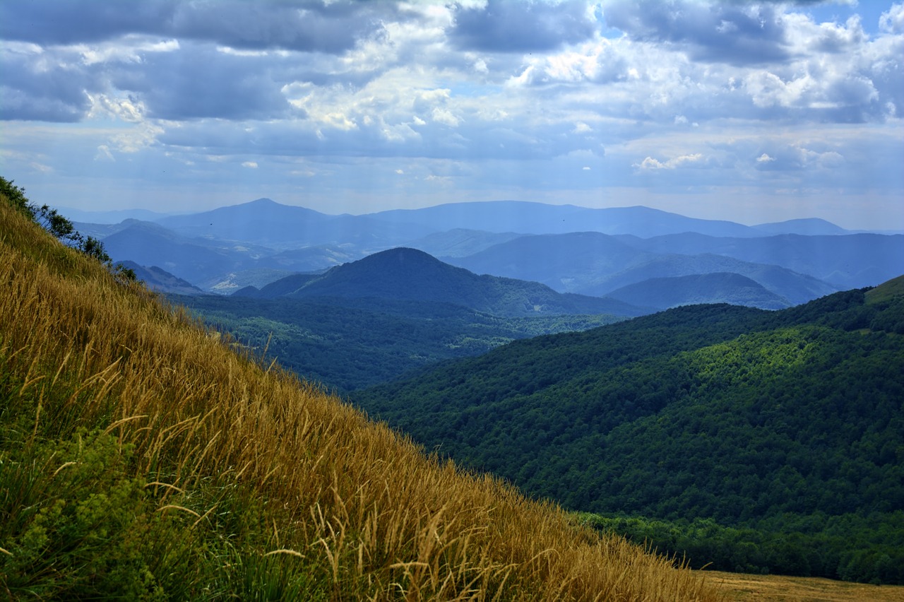 bieszczady tarnica beech berdo free photo