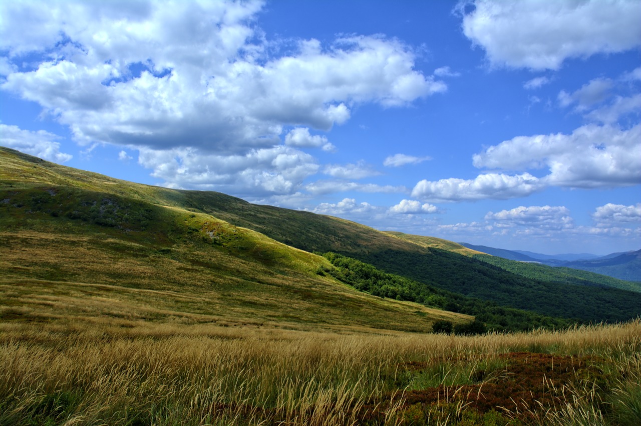 bieszczady tarnica beech berdo free photo