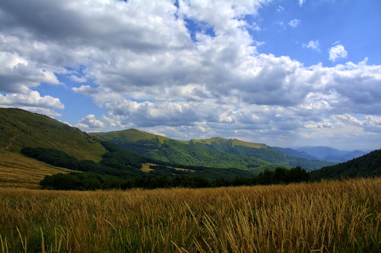 bieszczady tarnica beech berdo free photo