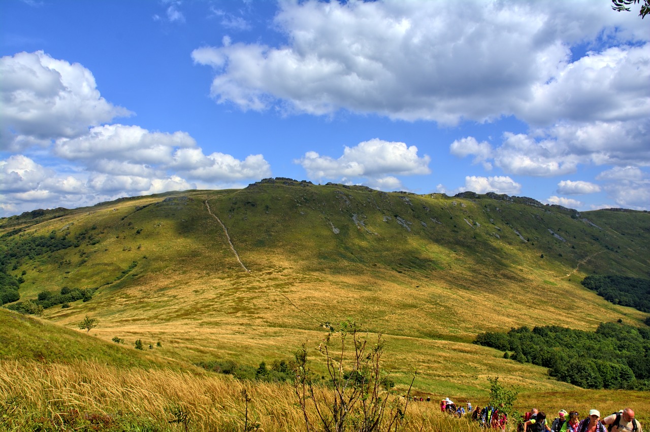 bieszczady tarnica beech berdo free photo