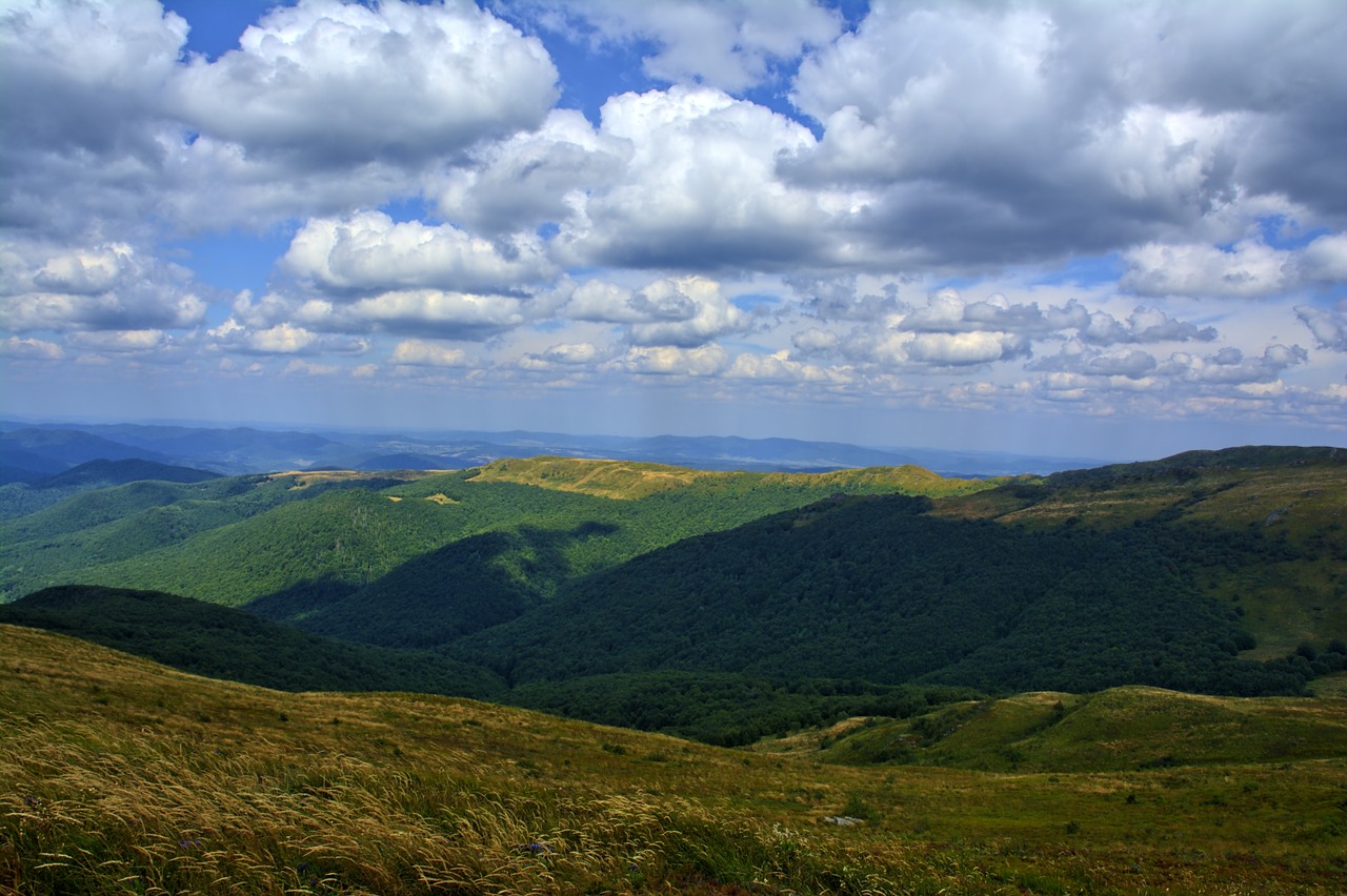 bieszczady tarnica beech berdo free photo