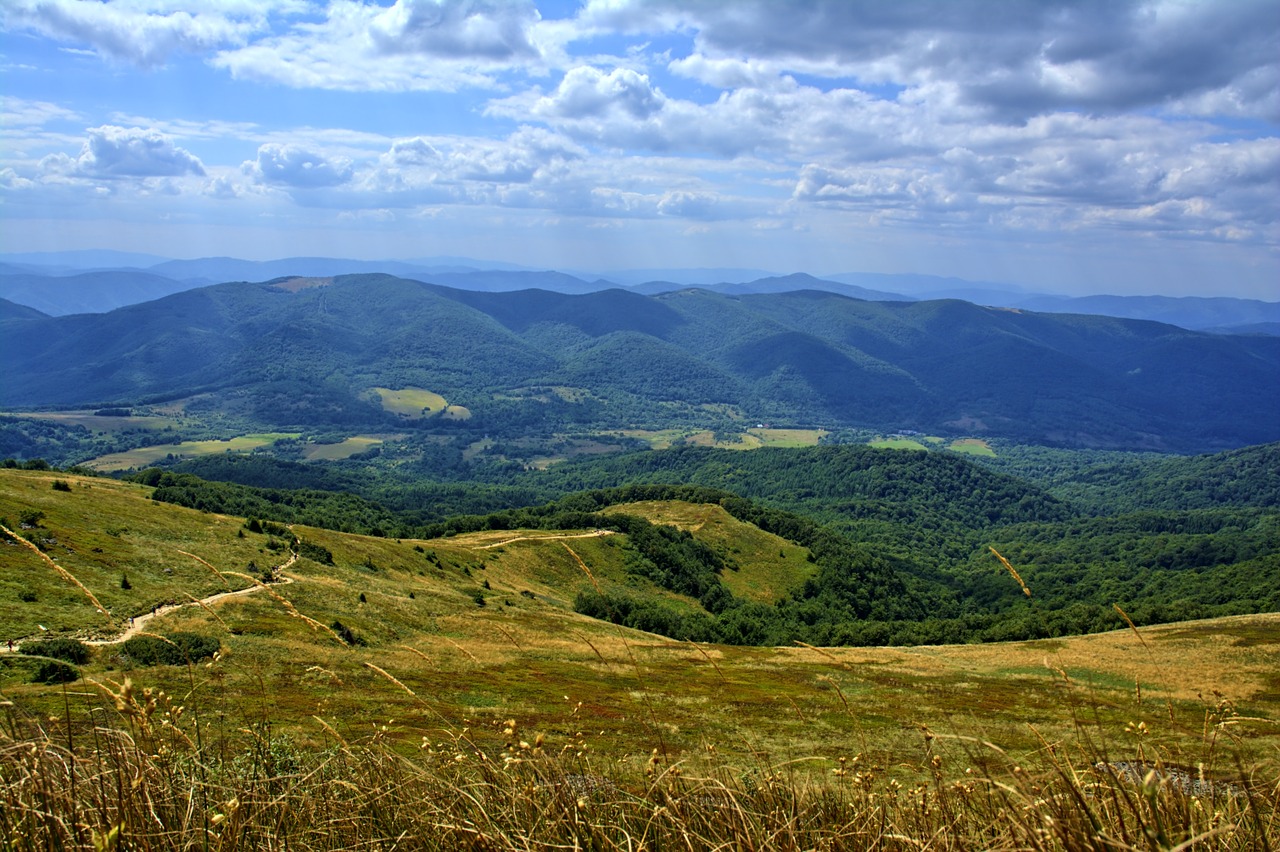 bieszczady tarnica beech berdo free photo