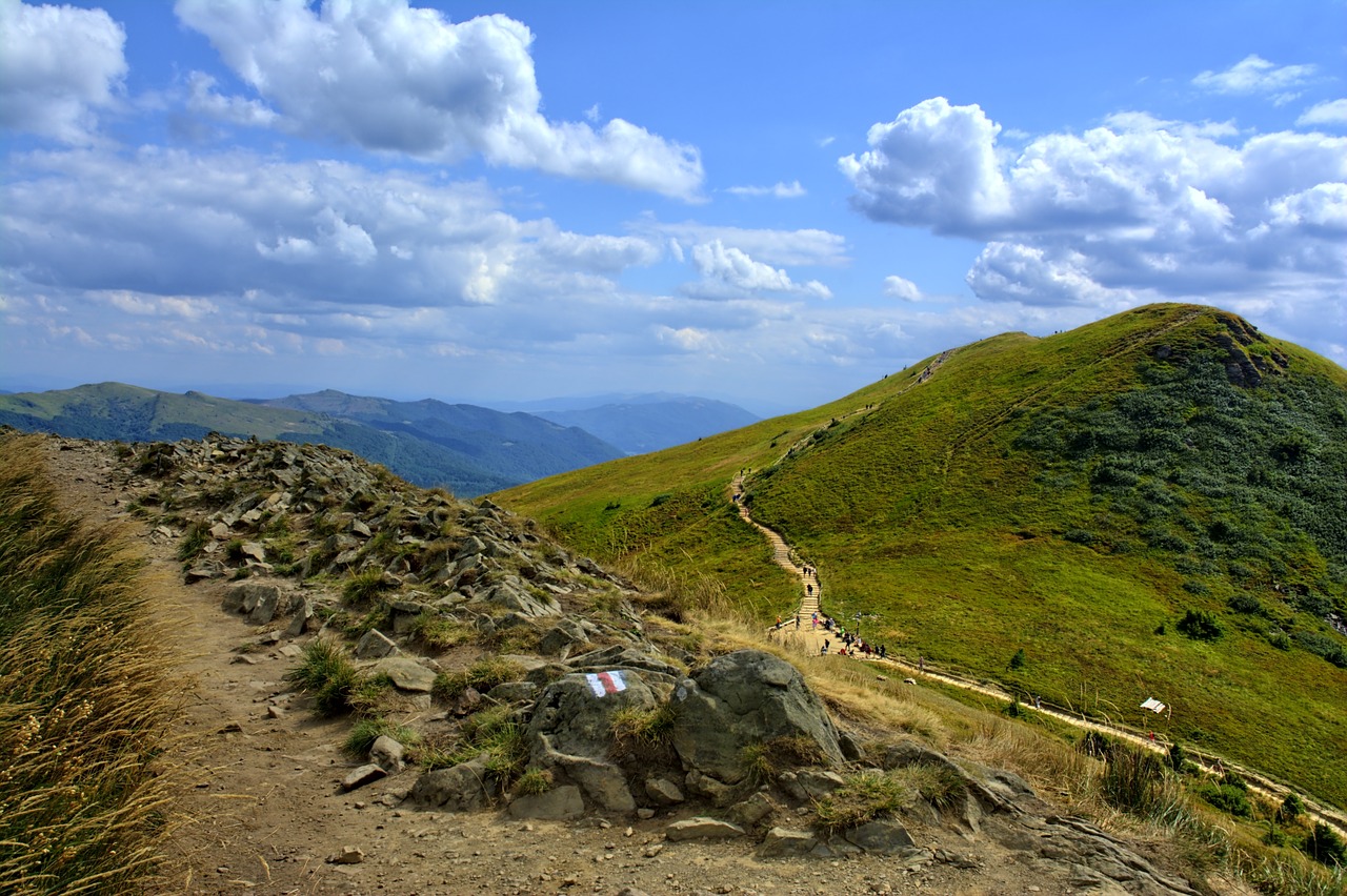 bieszczady tarnica beech berdo free photo