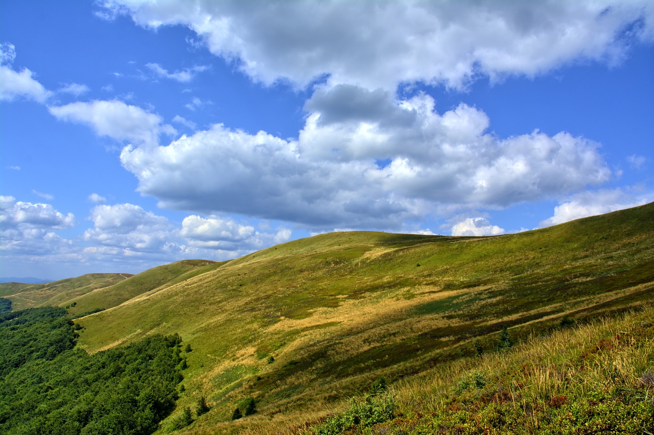 bieszczady tarnica beech berdo free photo