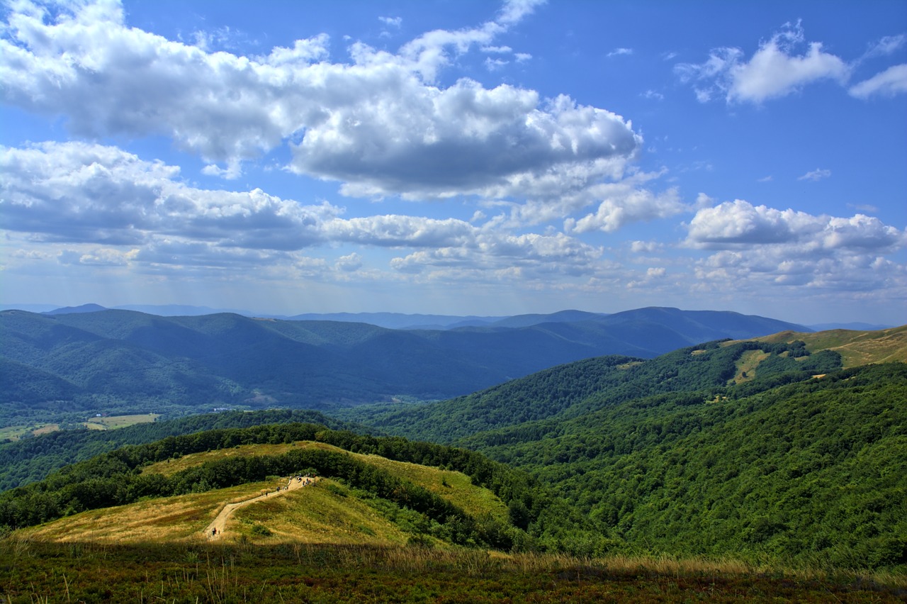 bieszczady tarnica beech berdo free photo