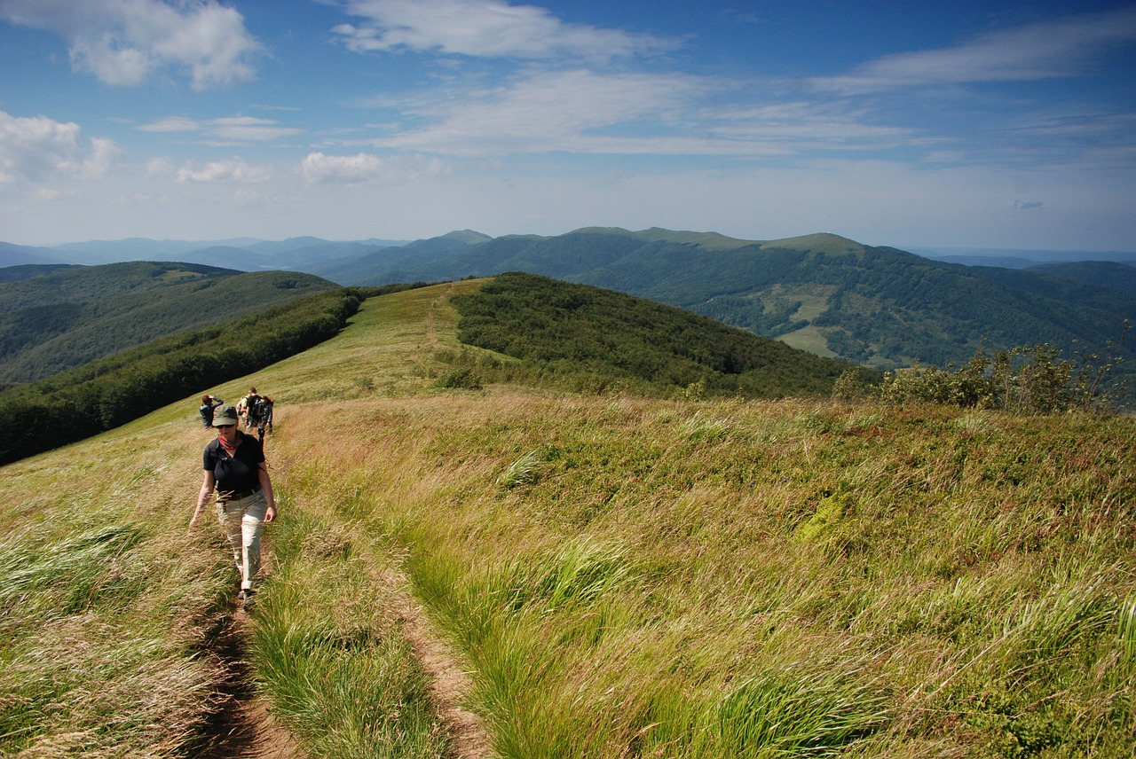 bieszczady summer top view free photo