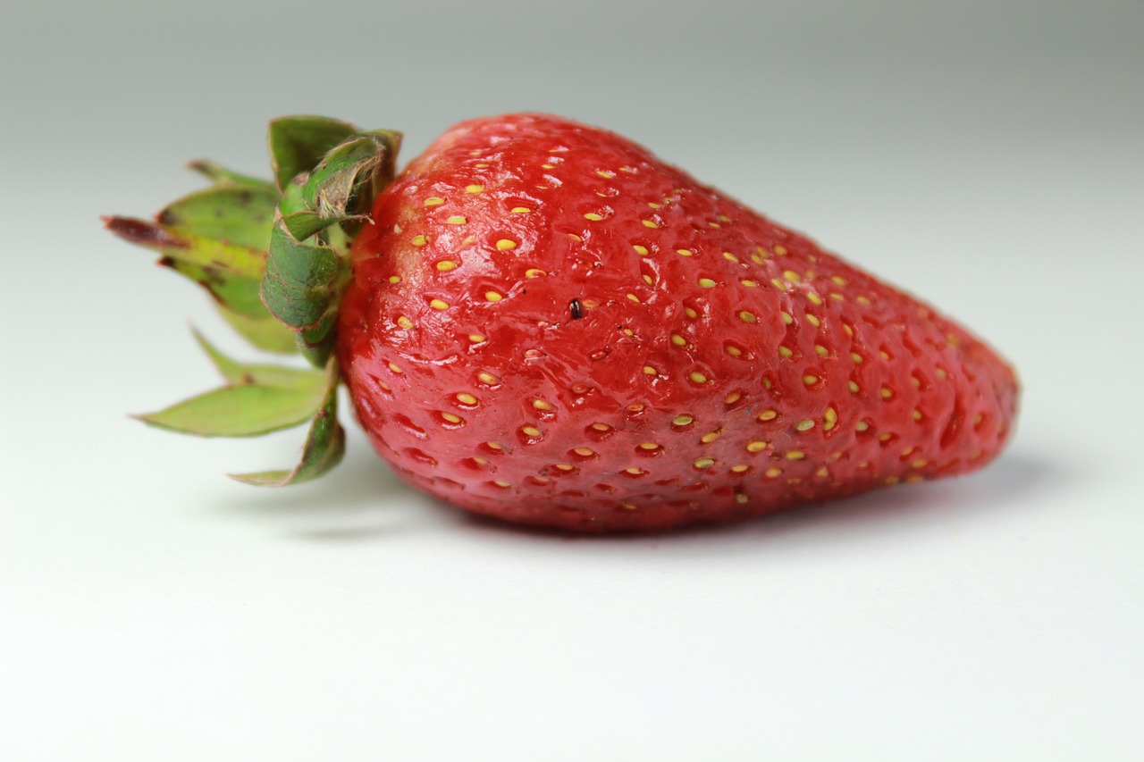 big network strawberry free photo