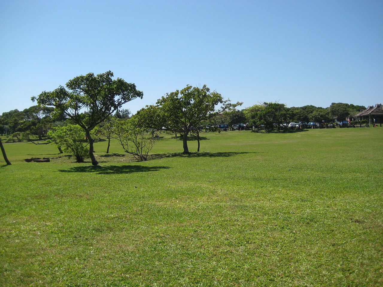 big grass park free photo