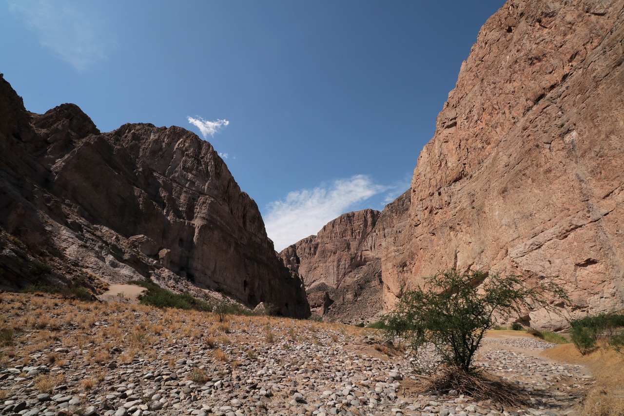 big  bend  national free photo