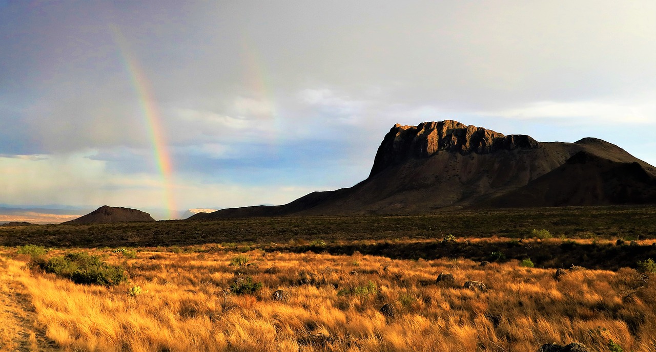 big  bend  national free photo