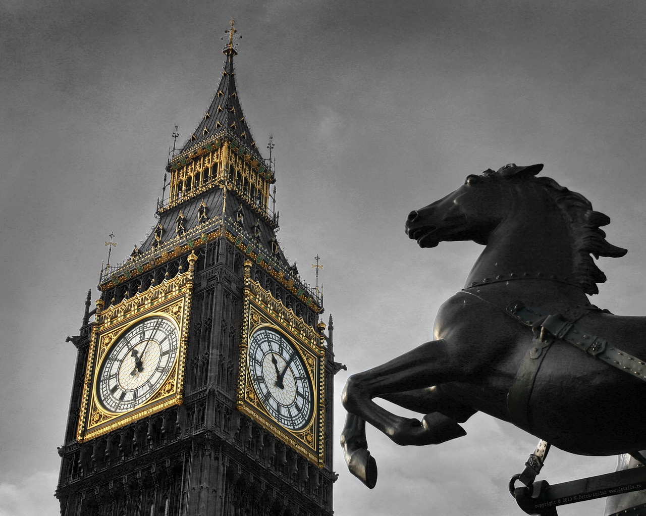 big ben horse black free photo