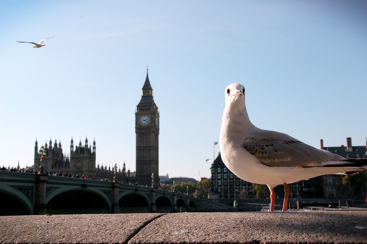 big ben london clock free photo