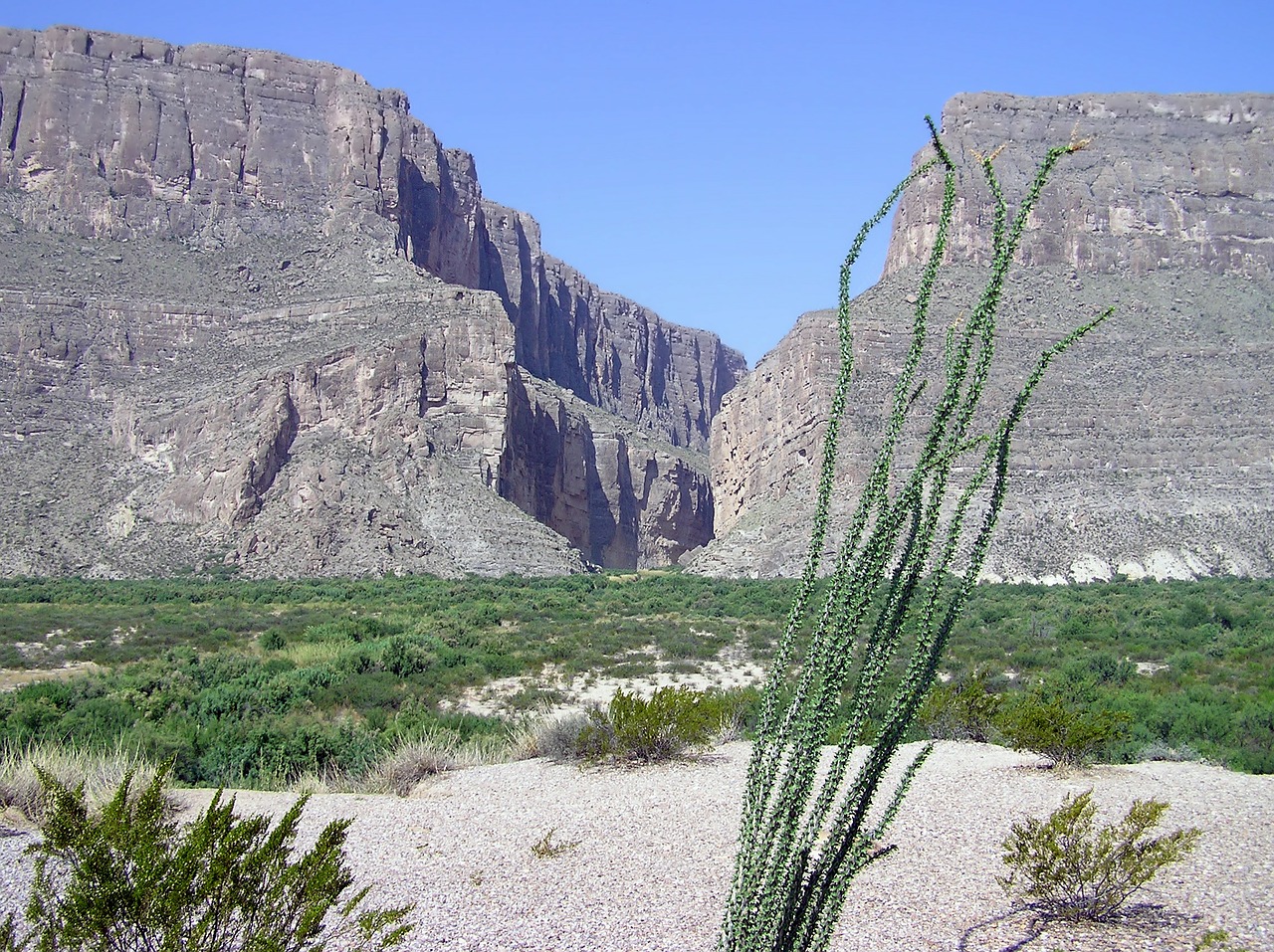 big bend texas landscape free photo