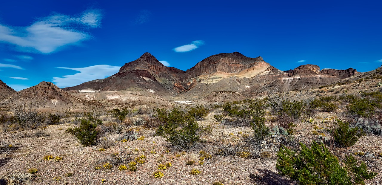 big bend national park texas landscape free photo