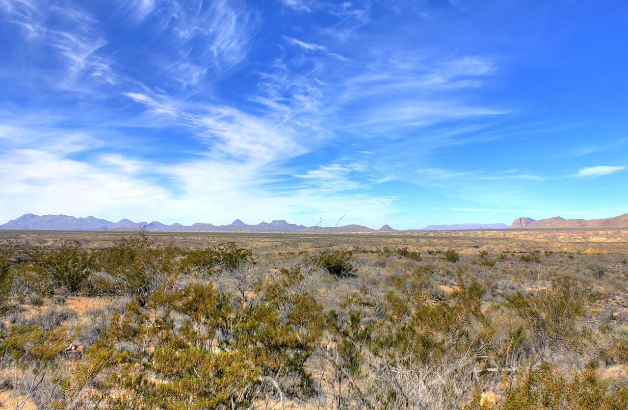 big bend national park texas usa free photo