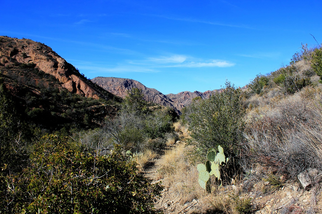 big bend national park texas usa free photo