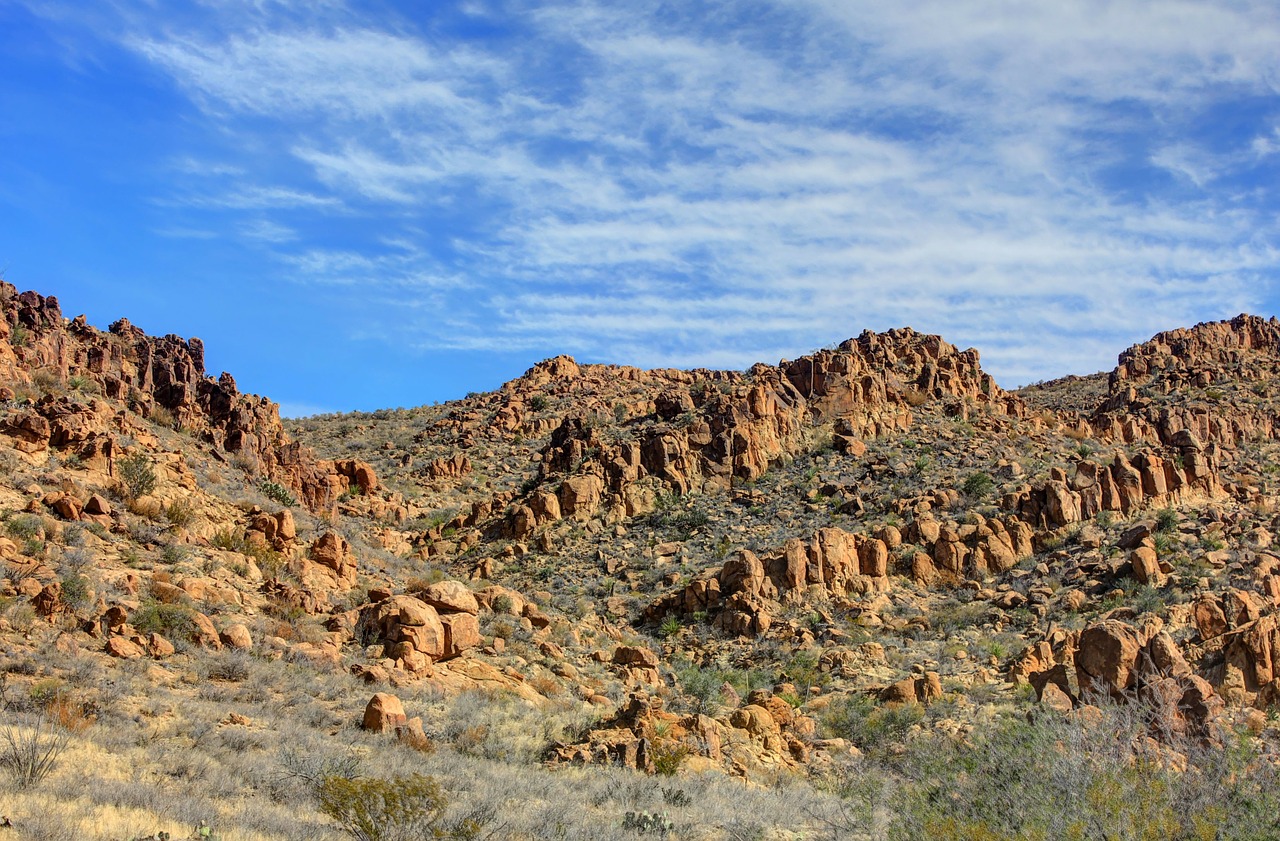 big bend national park texas usa free photo