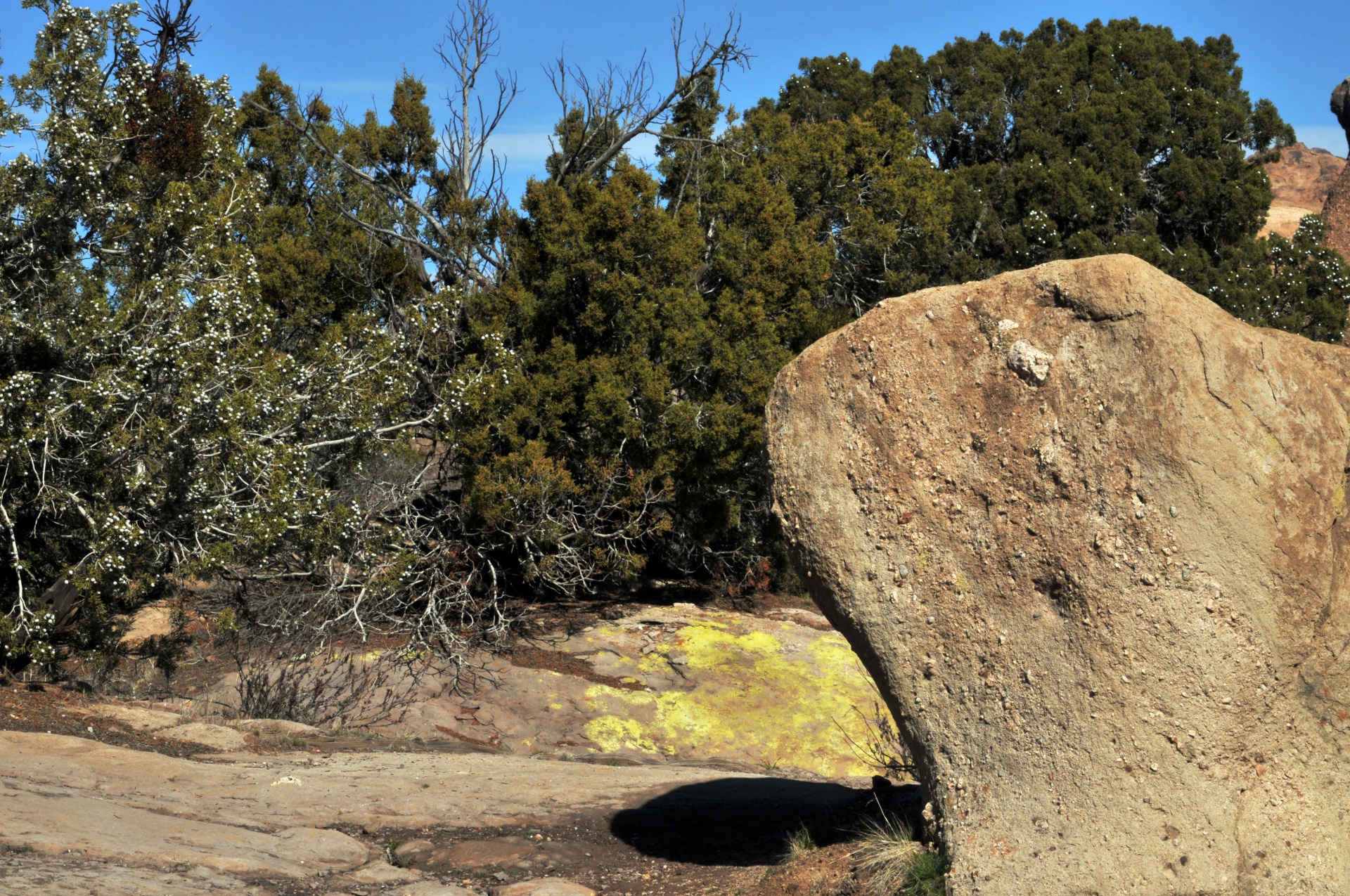 desert rock boulder free photo