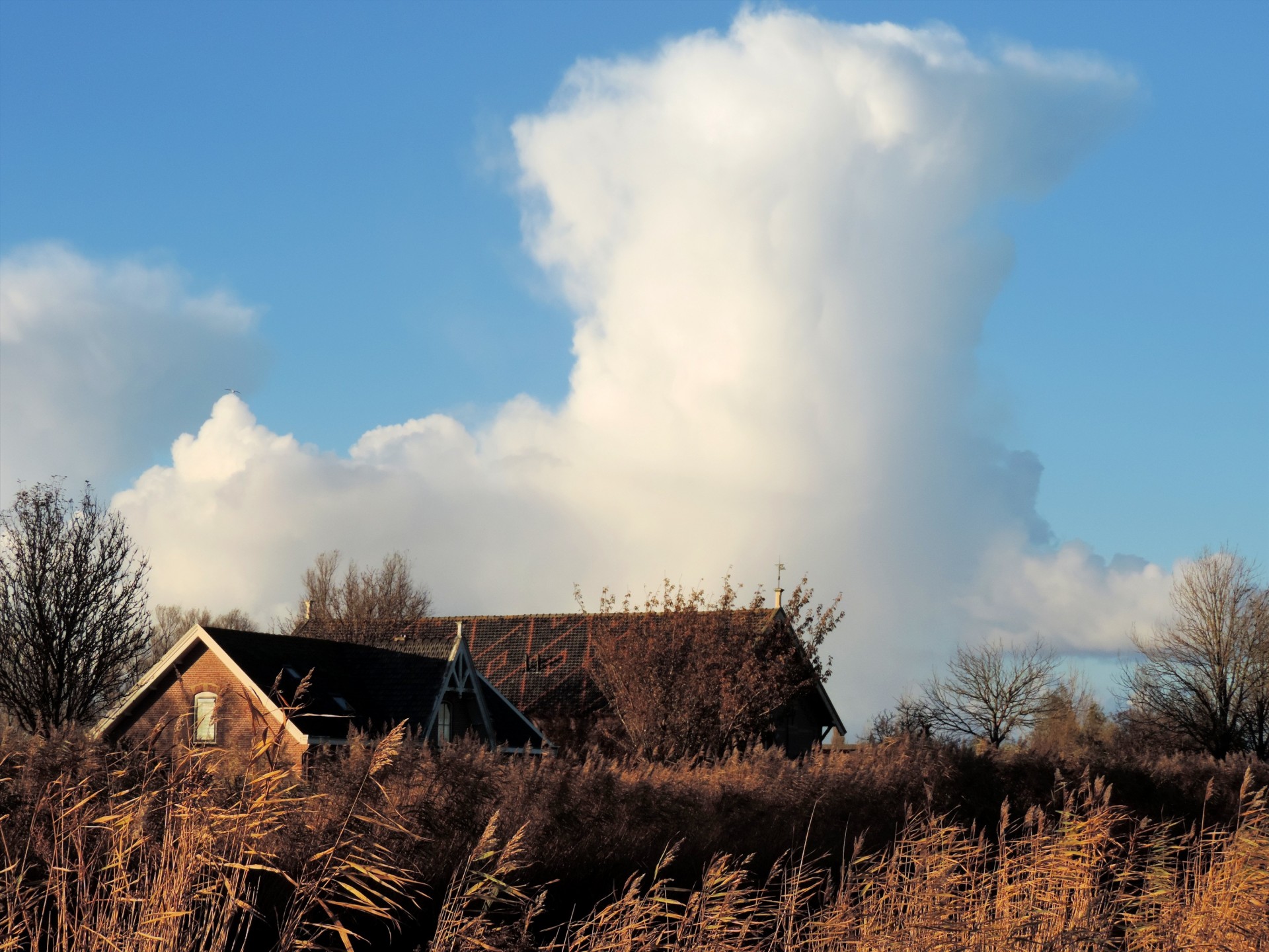 cloud big sky free photo