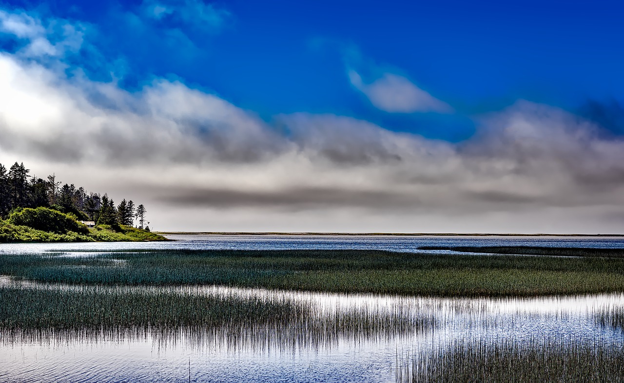 big lagoon park california sea free photo