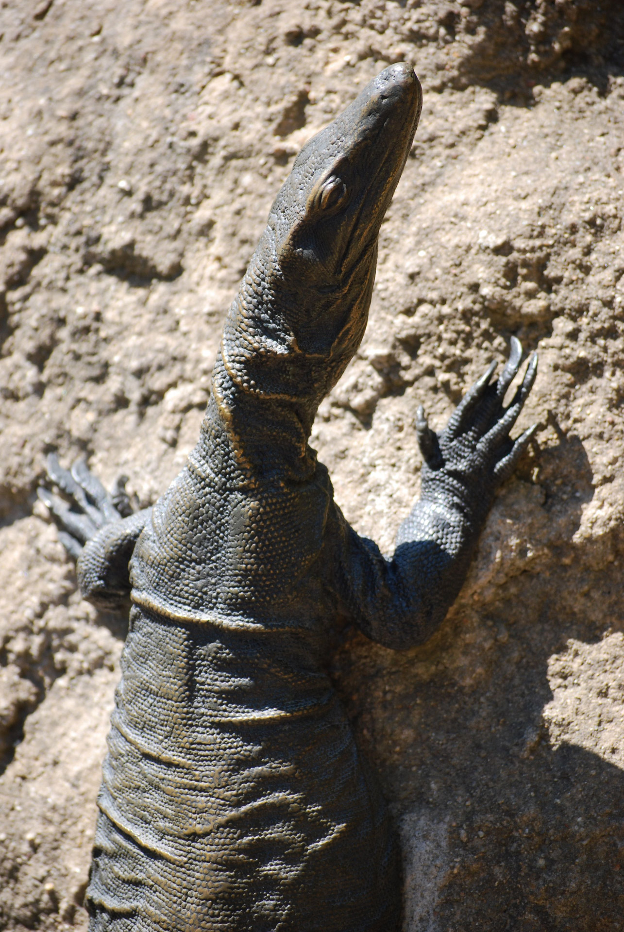 lizard statue melbourne free photo