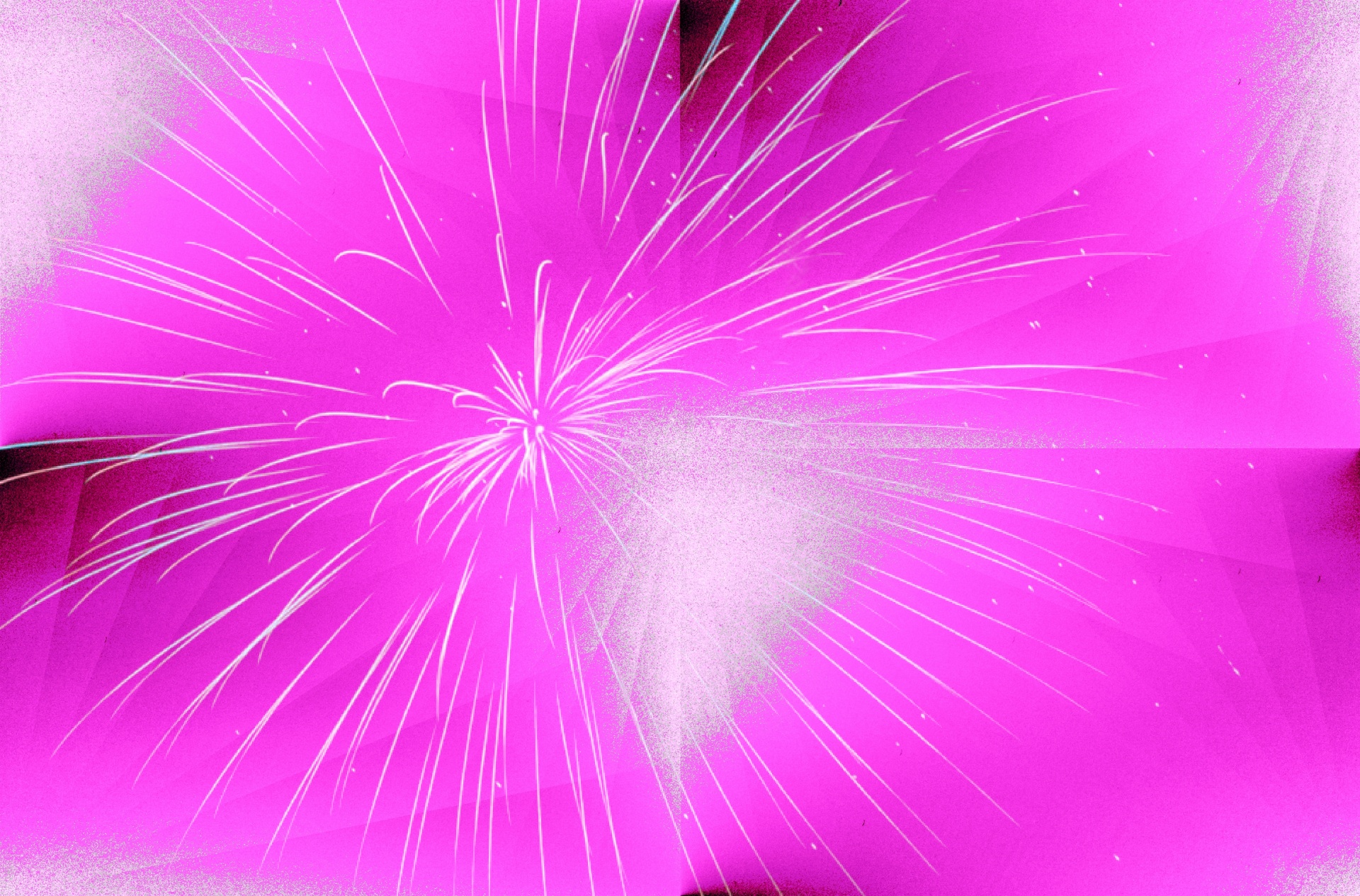 wallpaper background pink firework free photo