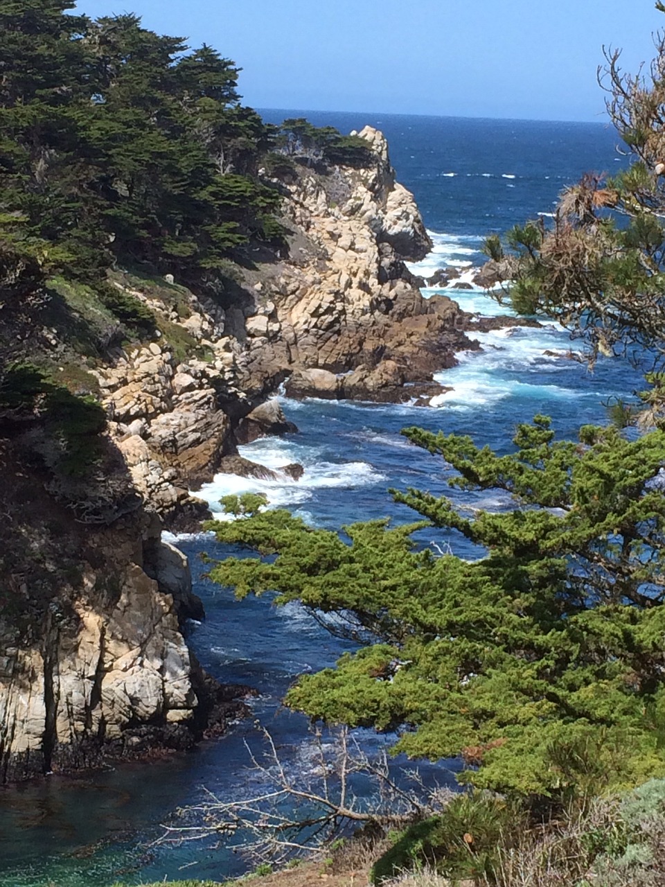 big sur coast sea free photo