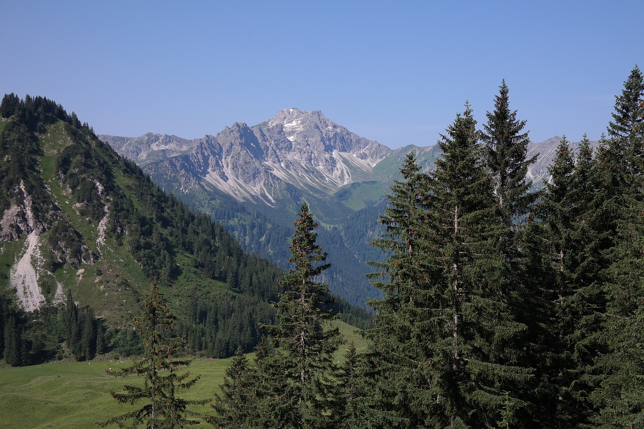 big thumbs panorama alpine free photo