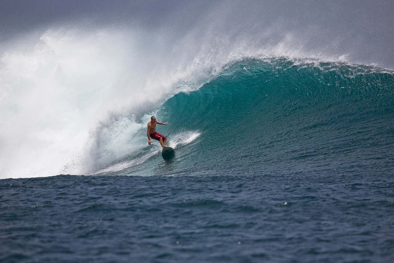 big waves surfer power free photo