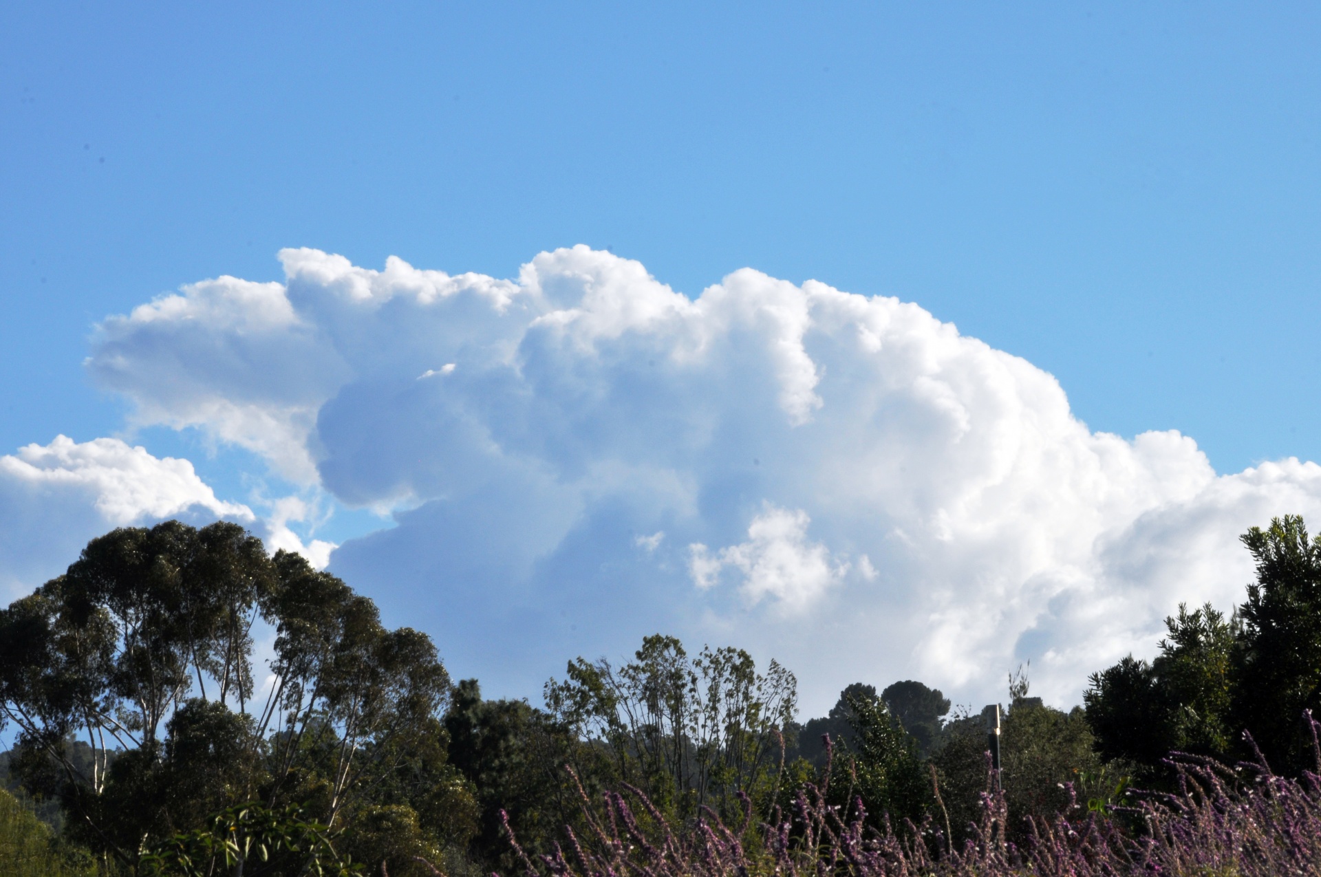 clouds cloud white free photo